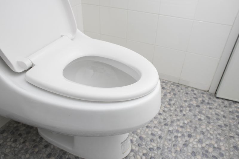 Toilet Installation Service